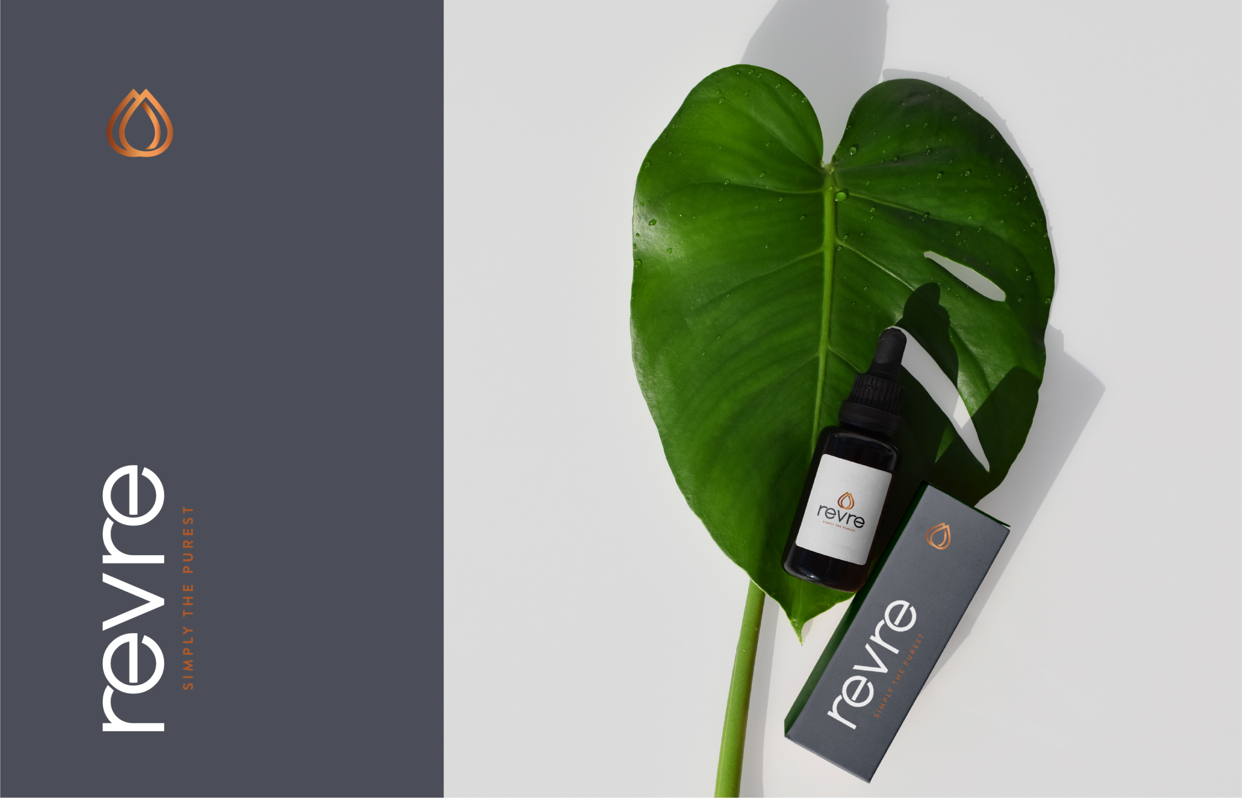 MM Brand Studio portfolio product image with leaf and cosmetic packaging